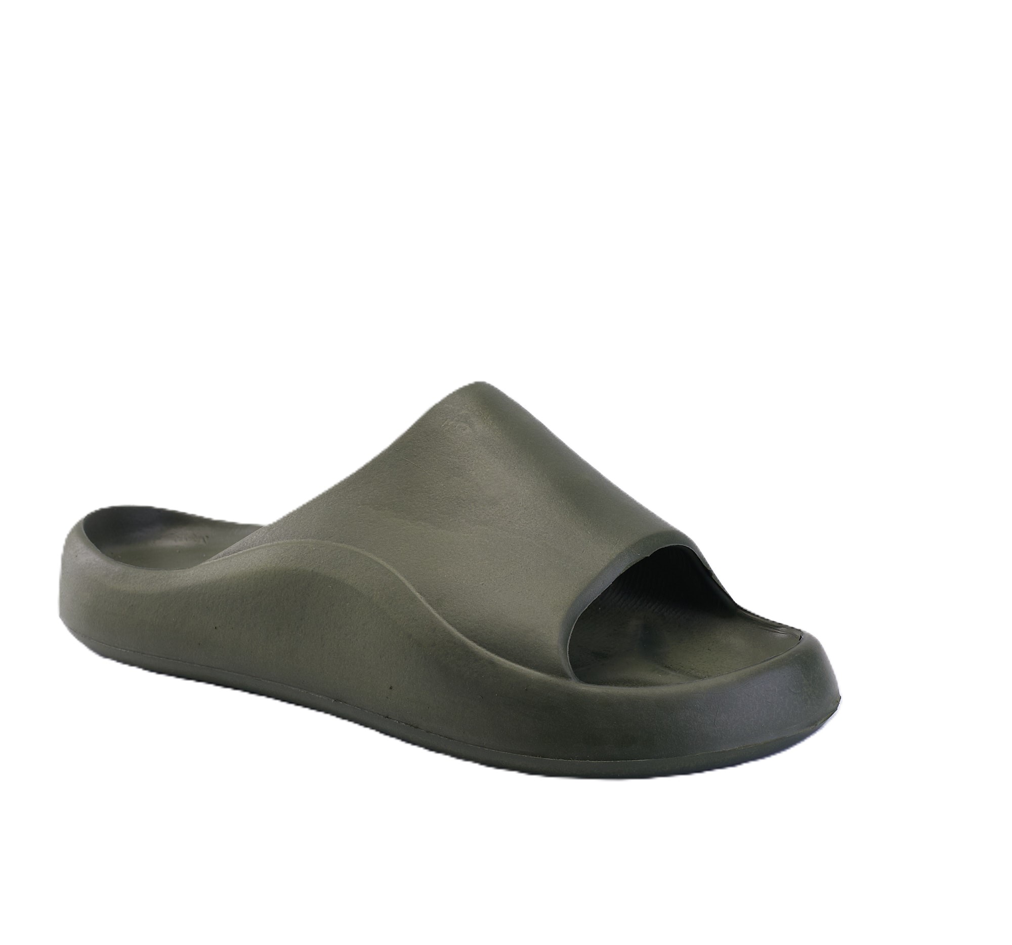 L-OLIVE