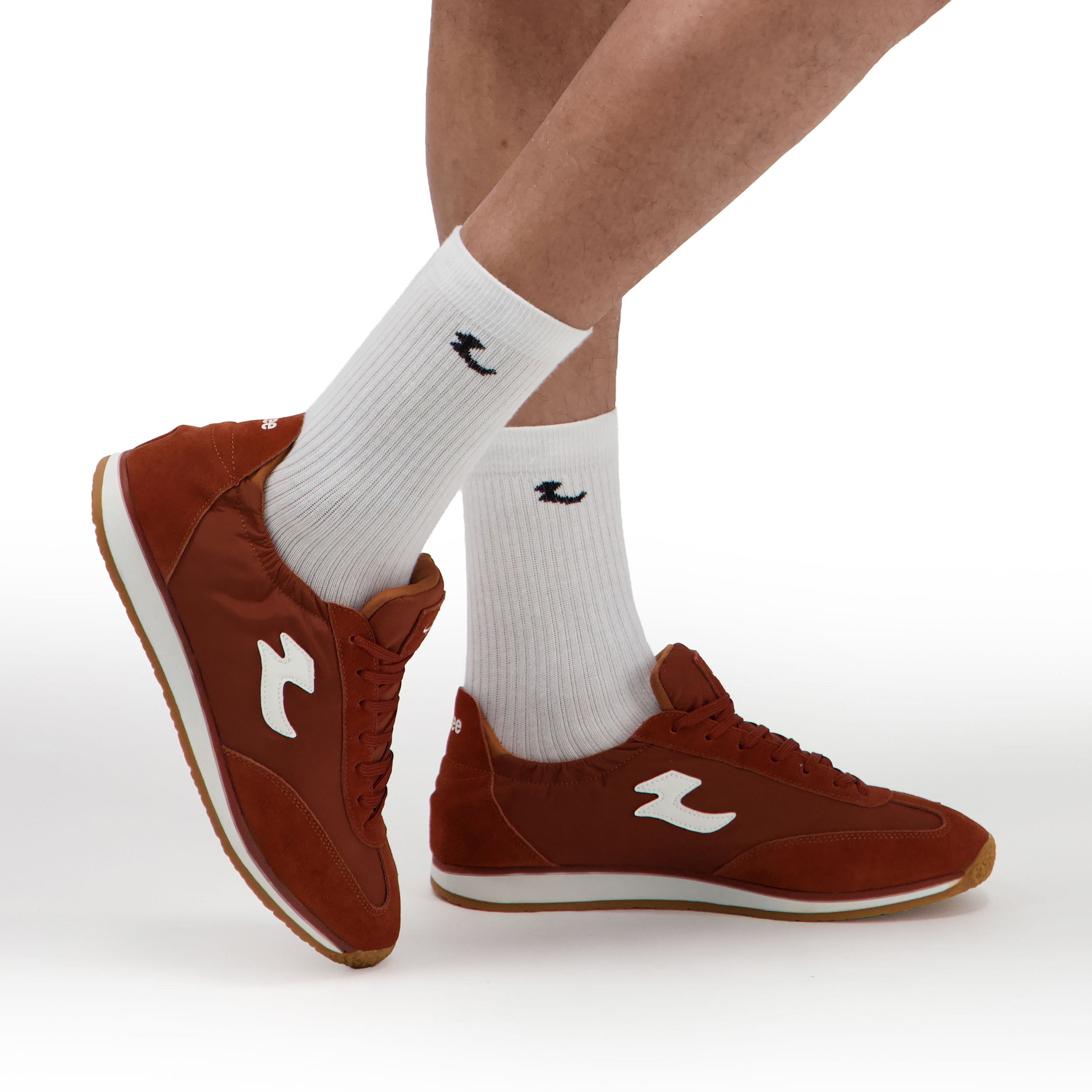 product color images